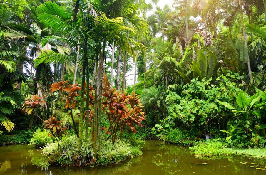 Key West Tropical Forest & Botanical Garden, United States